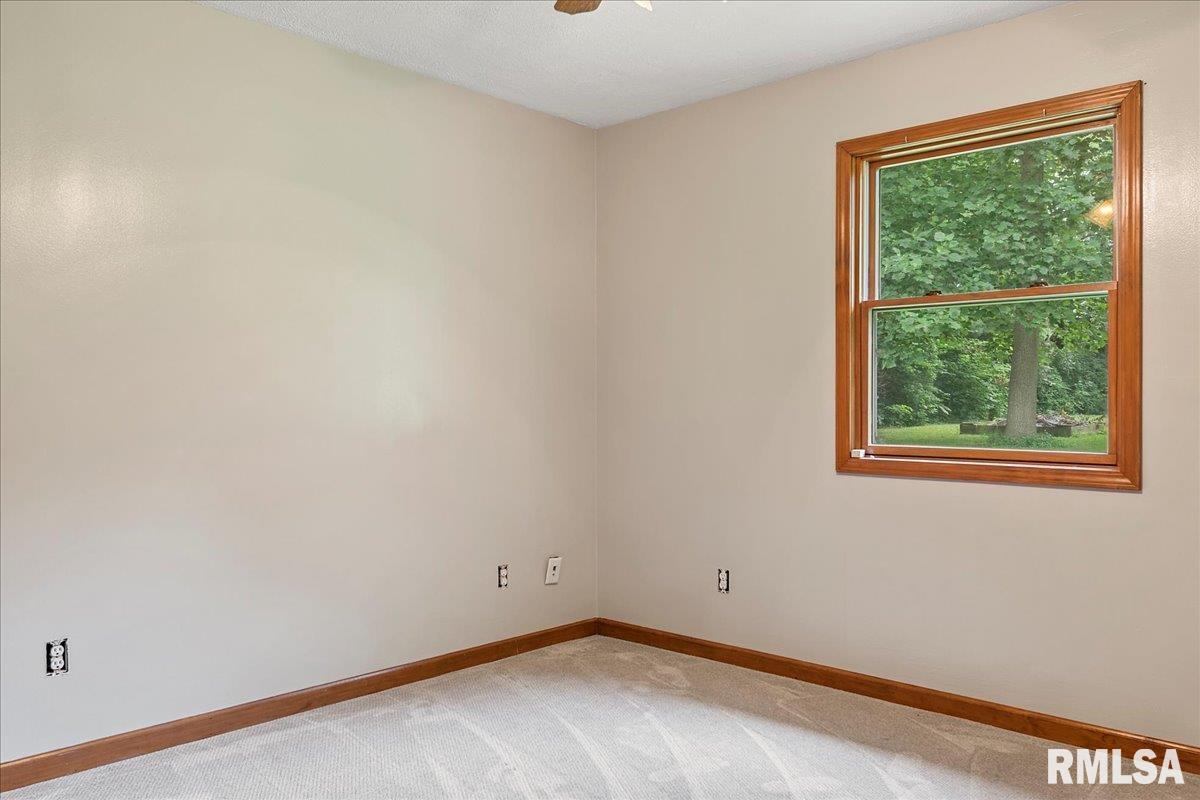 421 North Walnut Street Rochester, IL 62563 - Photo 23 of 33