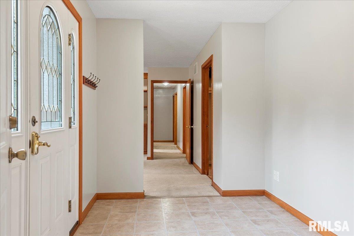 421 North Walnut Street Rochester, IL 62563 - Photo 6 of 33