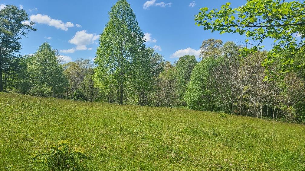 236 Kiawana Road Atkins, VA 24311 - Photo 43 of 59 Gallery Image 43