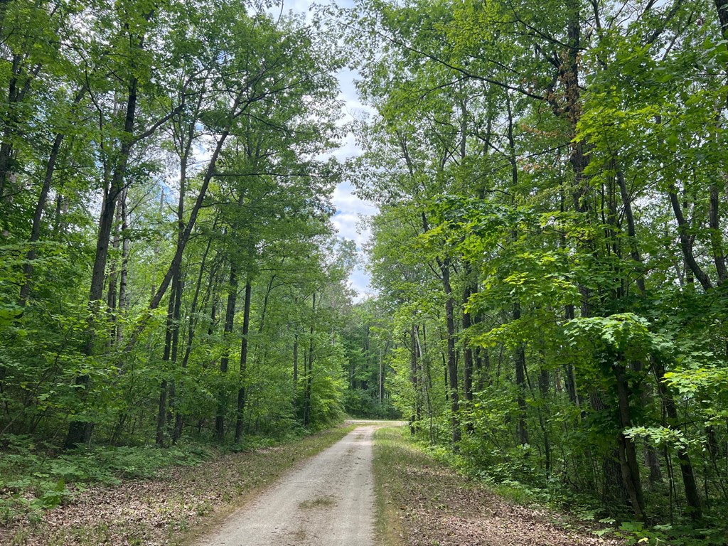 Lot 5 High Bluff Estates Road Sturgeon Bay, WI 54235 - Photo 3 of 7 Gallery Image 3