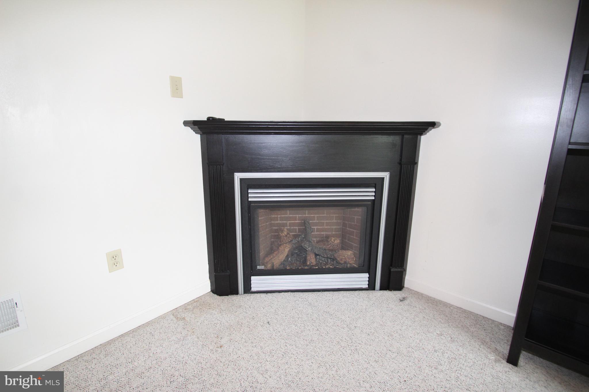 Propane Fireplace
