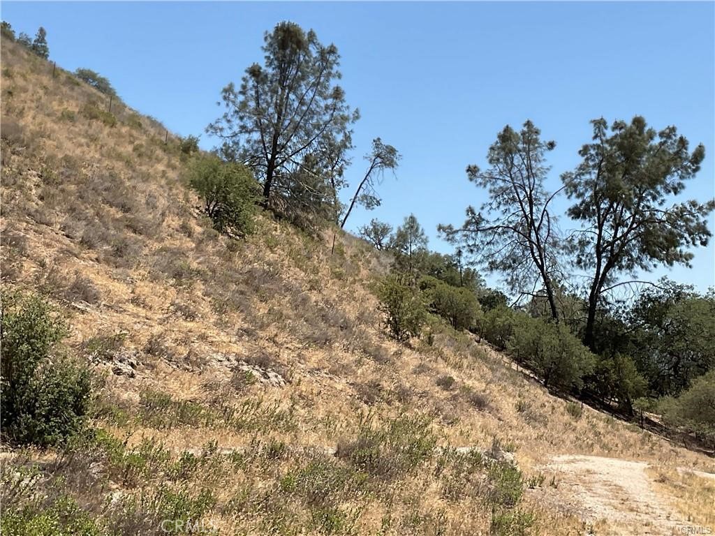 0 Martinez Road King City, CA 93930 - Photo 48 of 52