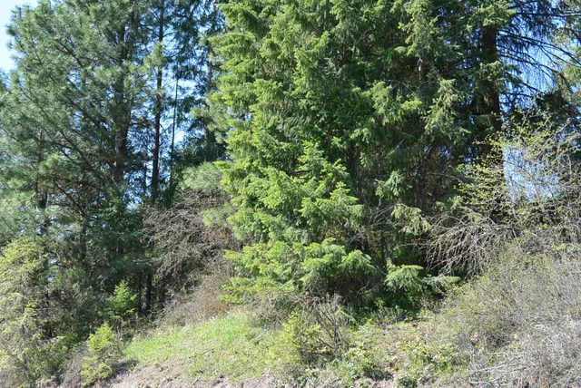 $159,000 | Tbd Long Prairie Road, Valley, WA 99181