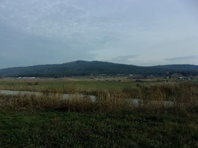 Tbd Long Prairie Road Valley, WA 99181 - Photo 11 of 12
