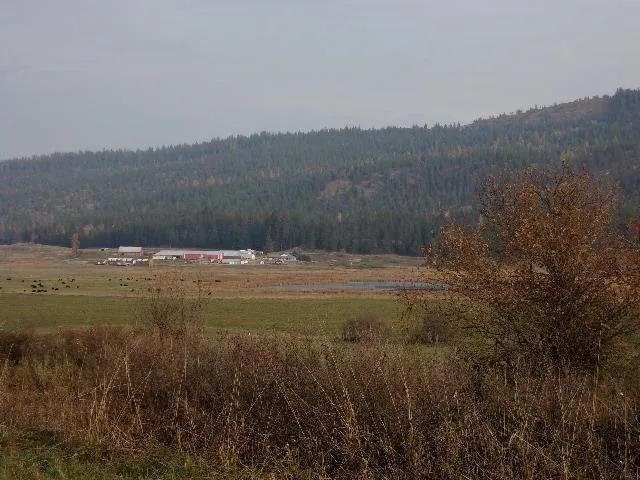 $159,000 | Tbd Long Prairie Road, Valley, WA 99181