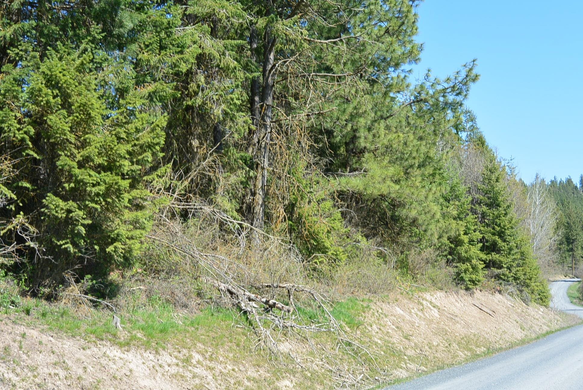 Tbd Long Prairie Road Valley, WA 99181 - Photo 2 of 12