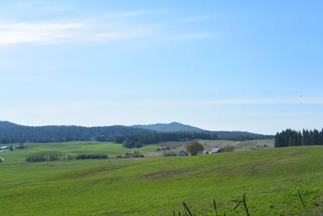 $159,000 | Tbd Long Prairie Road, Valley, WA 99181