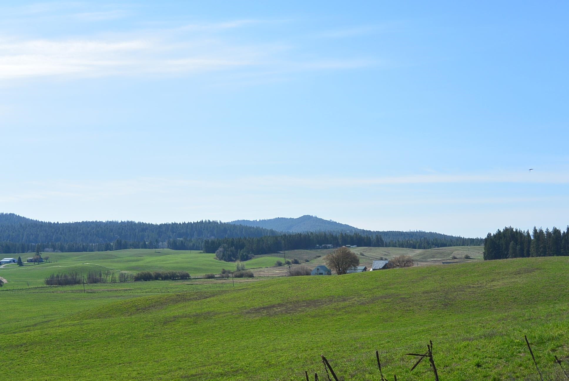 Tbd Long Prairie Road Valley, WA 99181 - Photo 3 of 12