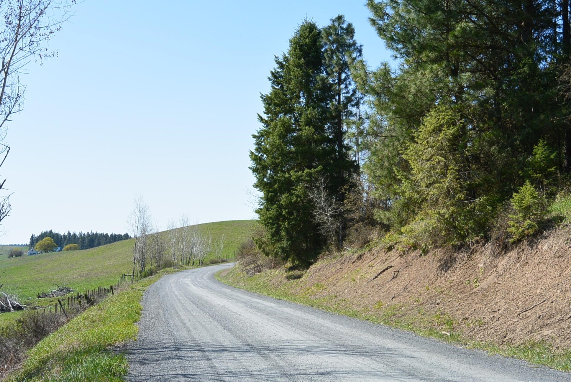 Tbd Long Prairie Road Valley, WA 99181 - Photo 4 of 12