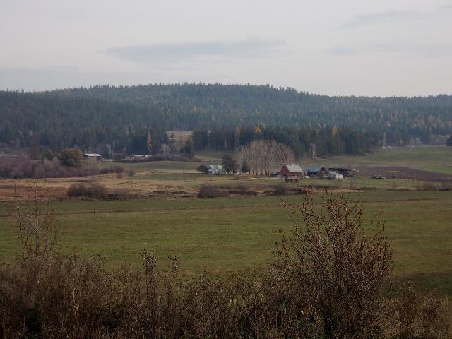 Tbd Long Prairie Road Valley, WA 99181 - Photo 7 of 12