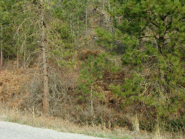 Tbd Long Prairie Road Valley, WA 99181 - Photo 8 of 12
