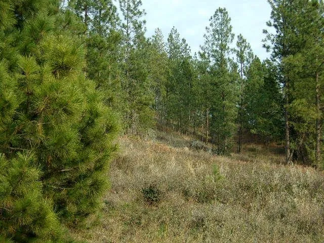 $159,000 | Tbd Long Prairie Road, Valley, WA 99181