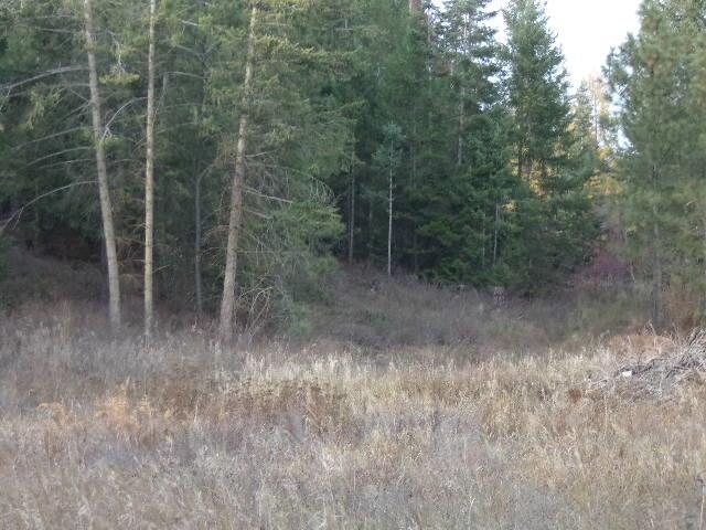 Tbd Long Prairie Road Valley, WA 99181 - Photo 10 of 12