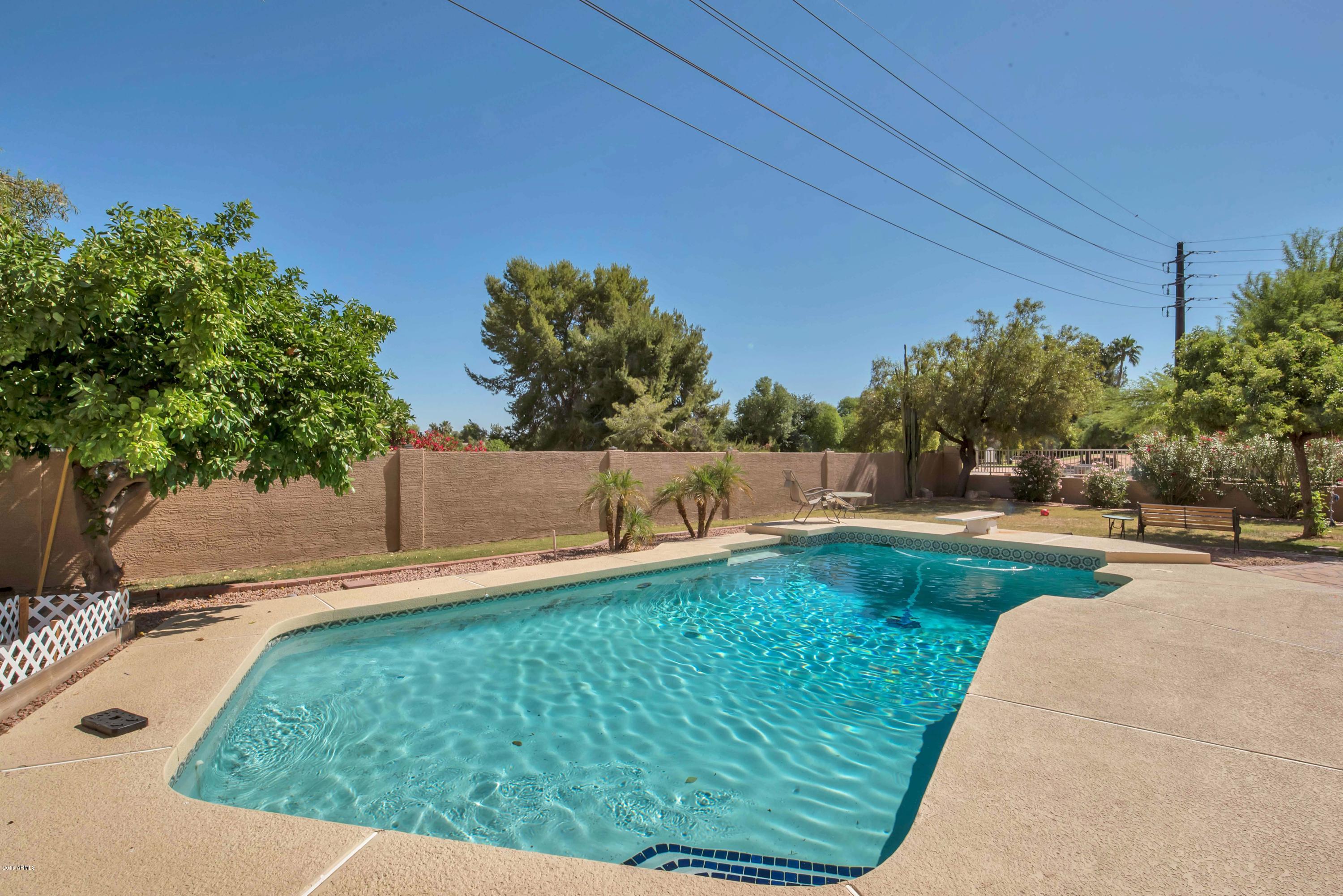 1510 West Post Road Chandler, AZ 85224 - Photo 22 of 28 Pool