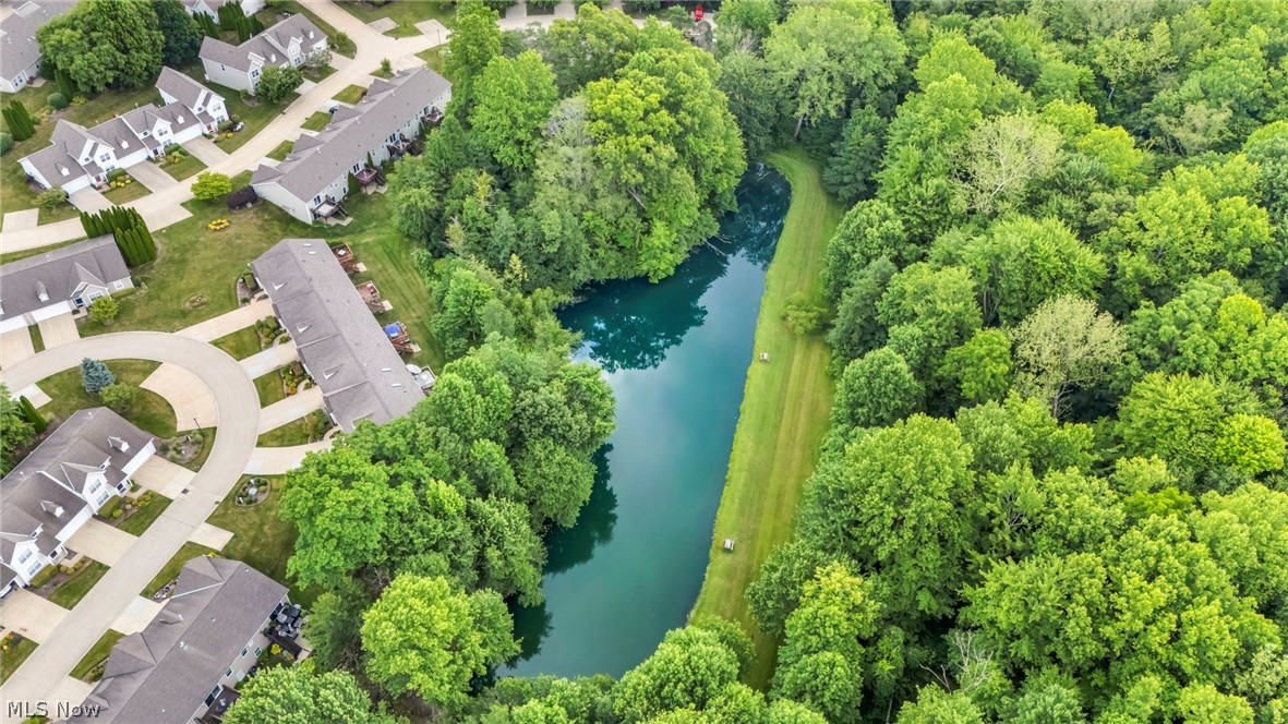 1024 St Michaels Way Madison, OH 44057 - Photo 44 of 47 Pond Behind Condominium