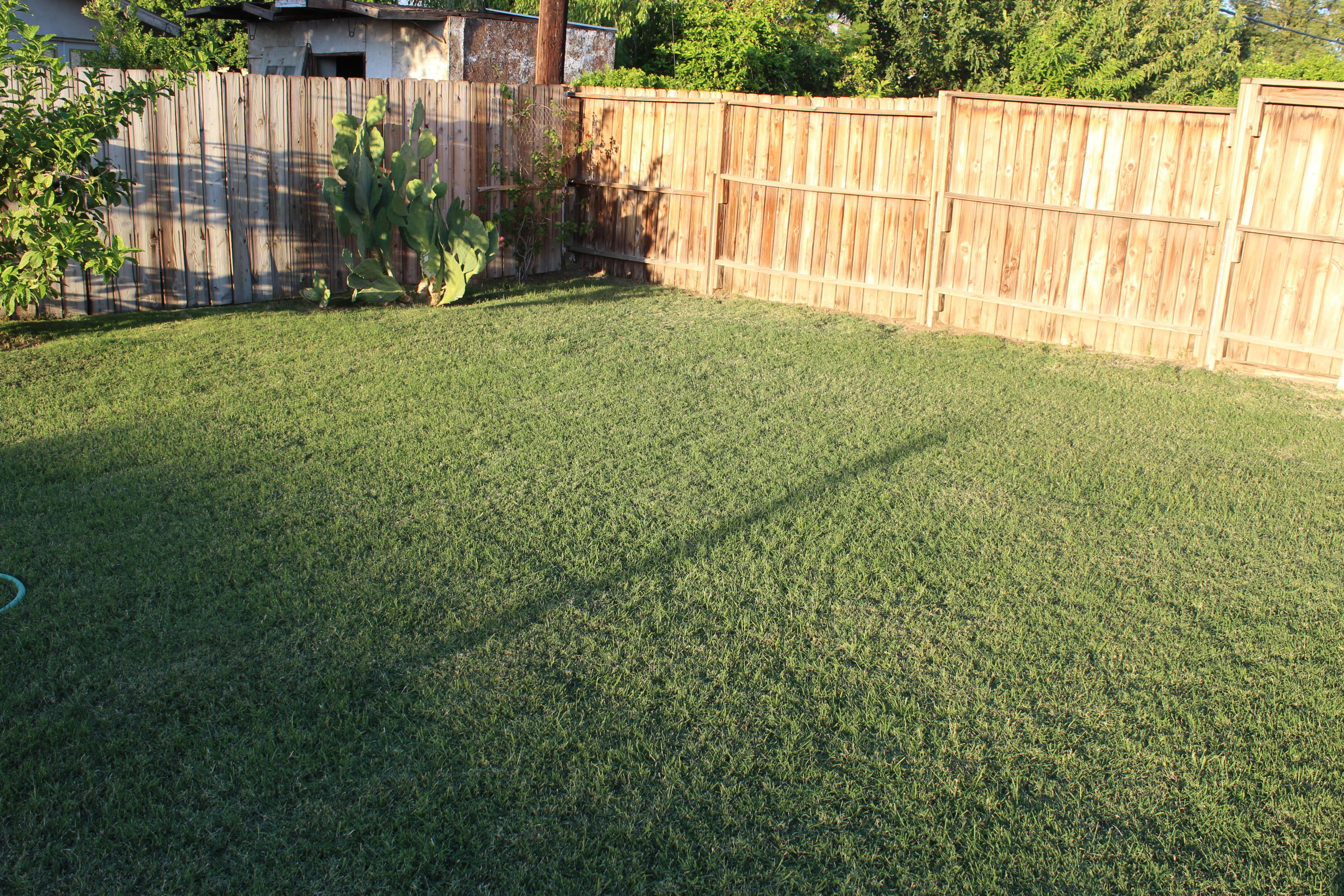 82396 Adobe Road Indio, CA 92201 - Photo 44 of 53 a view of outdoor space and yard