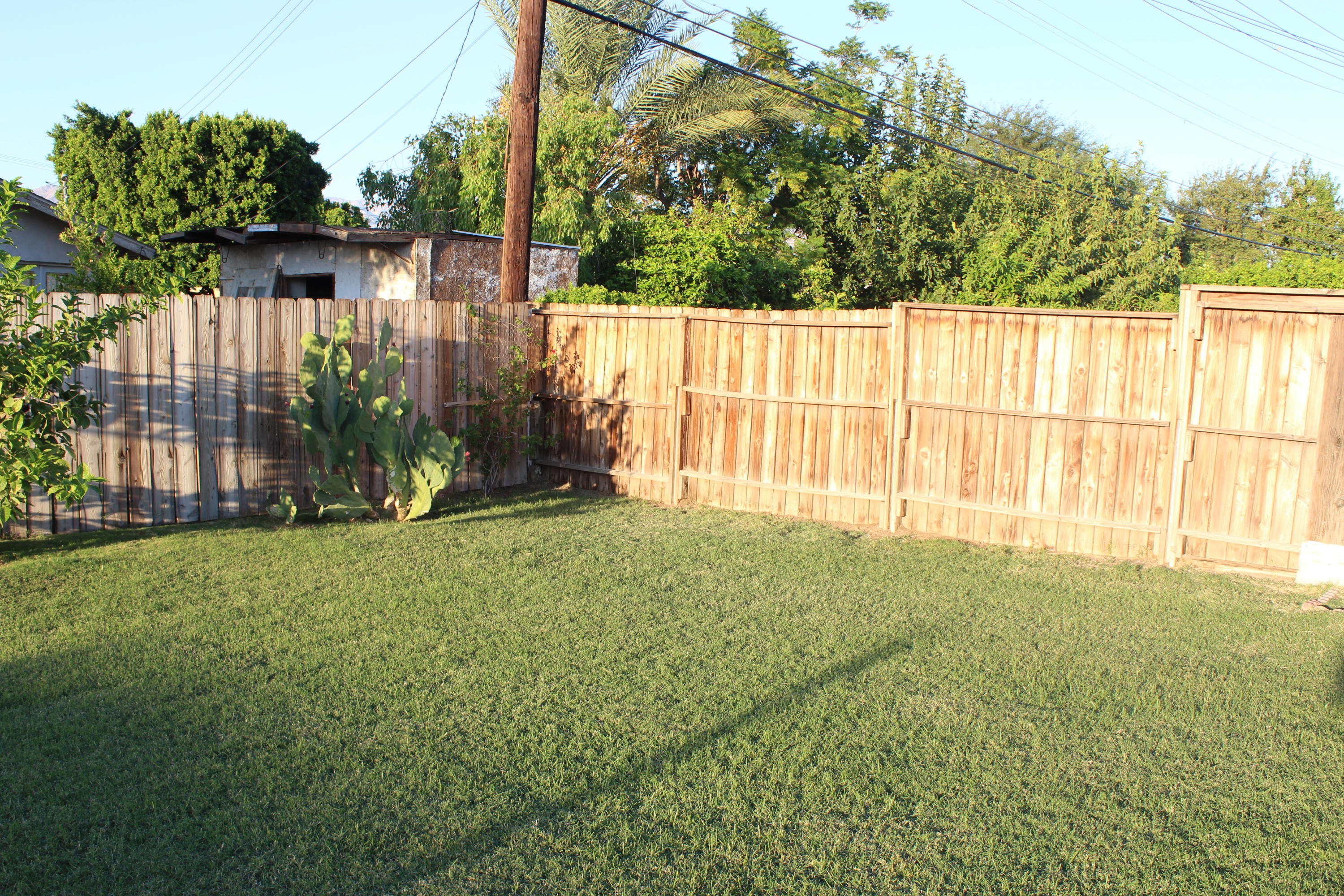 82396 Adobe Road Indio, CA 92201 - Photo 45 of 53 a view of a backyard with a garden and plants