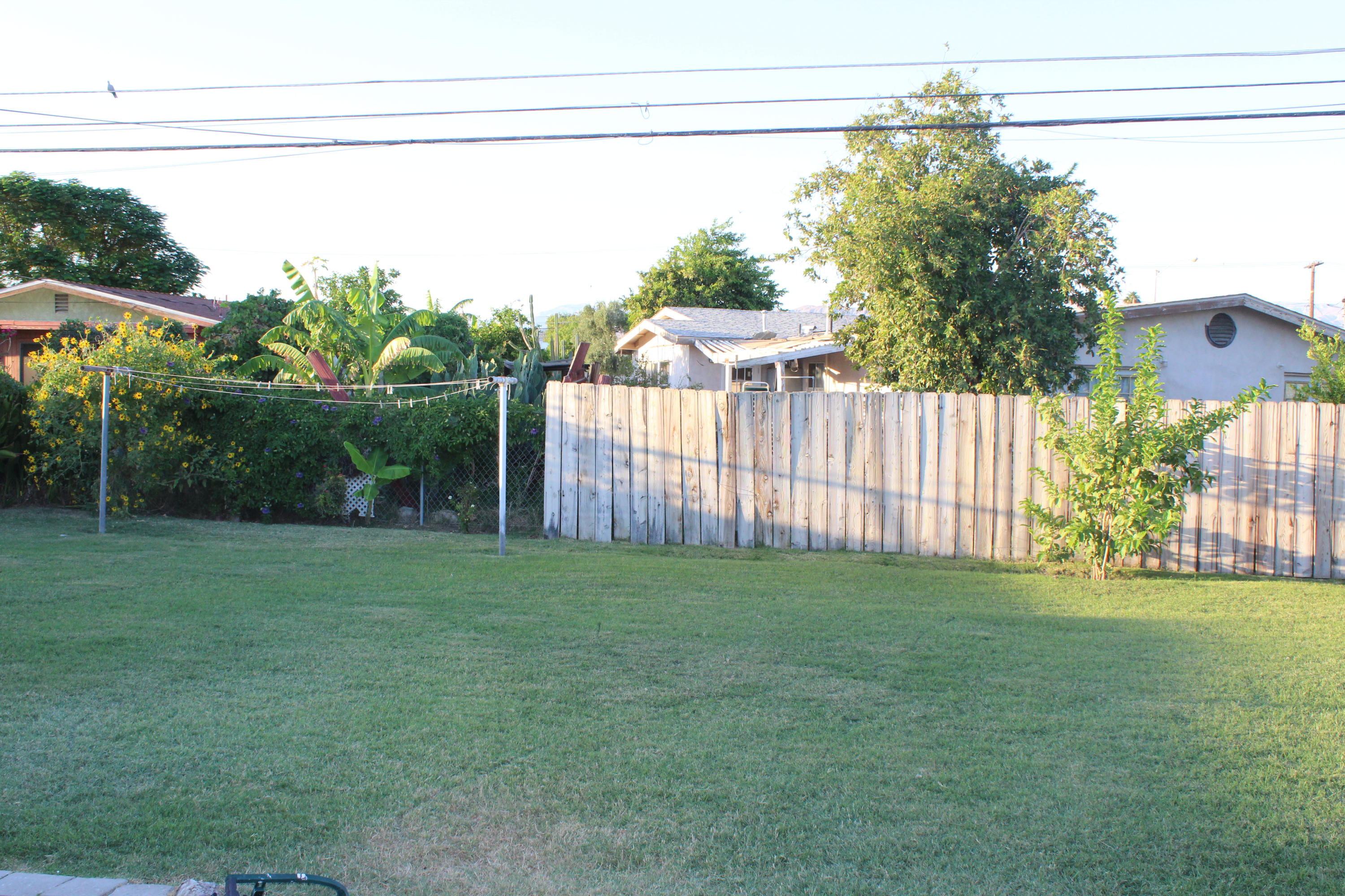 82396 Adobe Road Indio, CA 92201 - Photo 47 of 53 a view of a yard with a tree