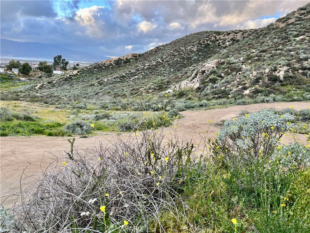 a view of a field with an ocean