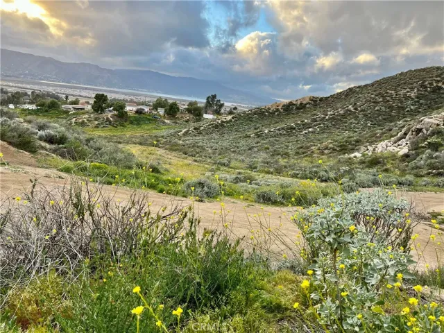a view of a yard with an ocean and trees