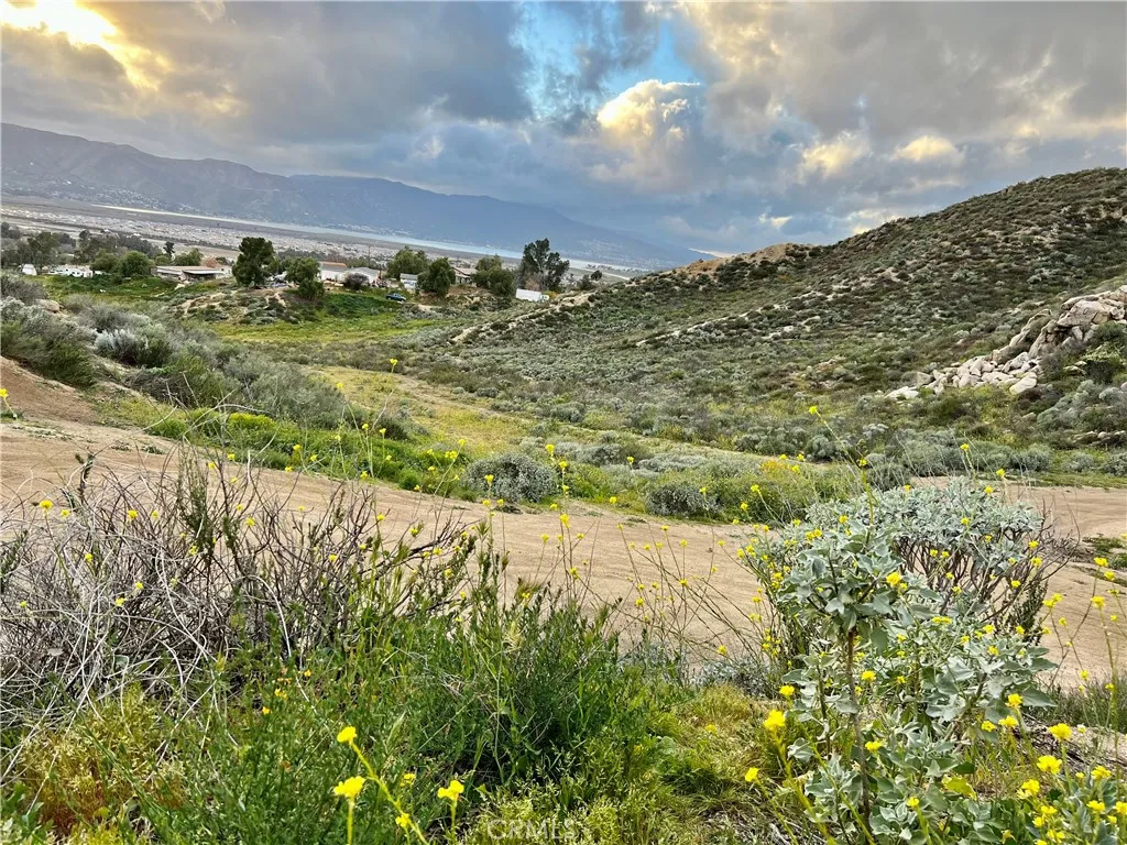 a view of a yard with an ocean and trees