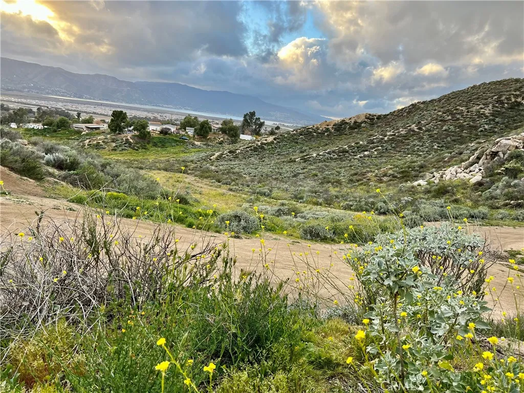 1 Sheri Wildomar, CA 92595 - Photo 4 of 16 a view of a yard with an ocean and trees