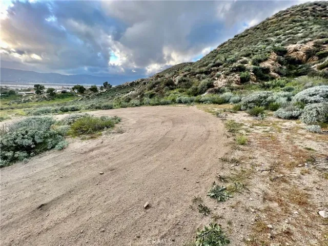 a view of a field with trees in background