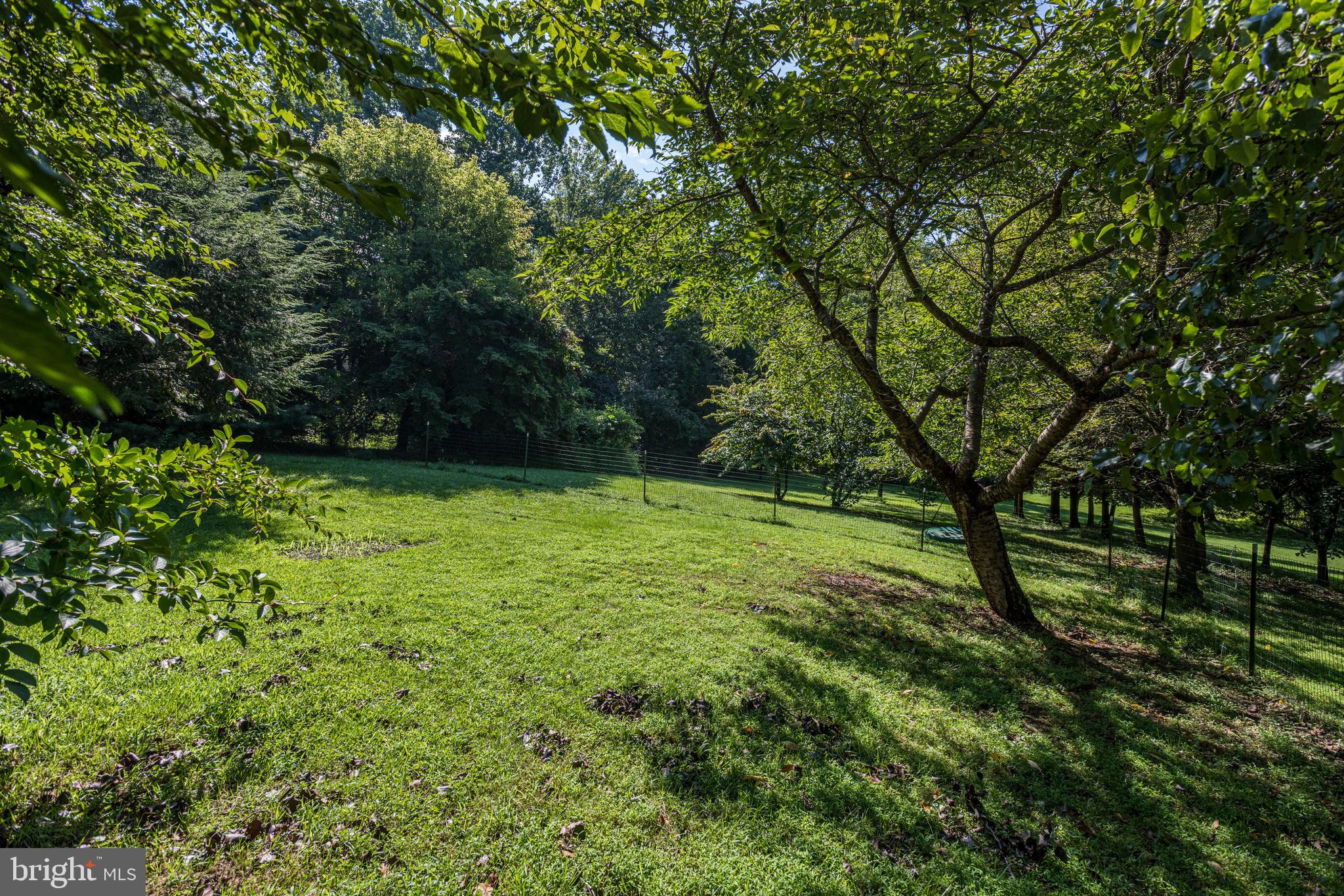 933 Monkton Road Monkton, MD 21111 - Photo 48 of 48 a view of outdoor space with a garden
