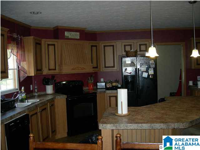 60 Waldrop Road Ashville, AL 35953 - Photo 10 of 23