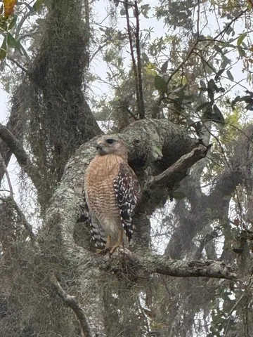 $1,899,000 | 8083 Waterbend Trail, Sarasota, FL 34240