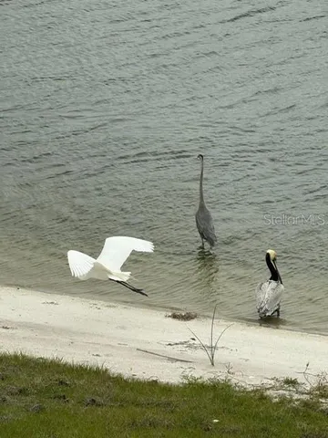 $1,899,000 | 8083 Waterbend Trail, Sarasota, FL 34240