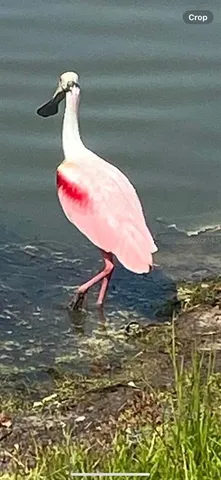 $1,899,000 | 8083 Waterbend Trail, Sarasota, FL 34240