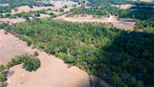 a view of a garden with a lake