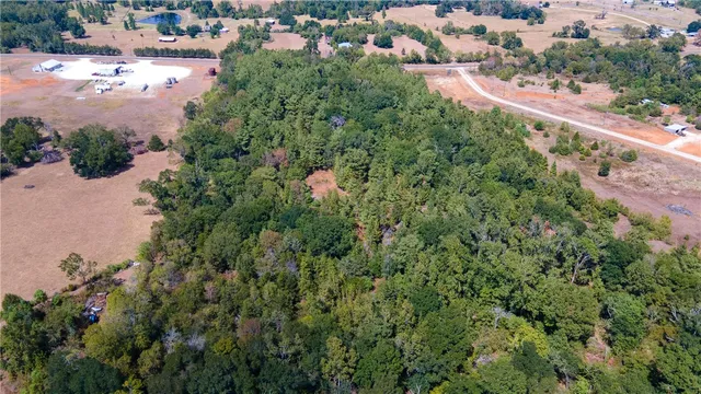an aerial view of a houses with yard