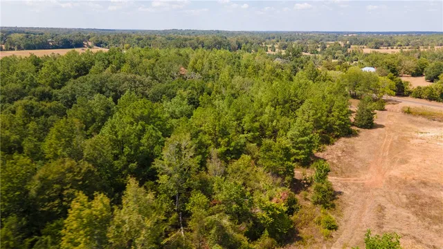 a view of a city with lush green forest
