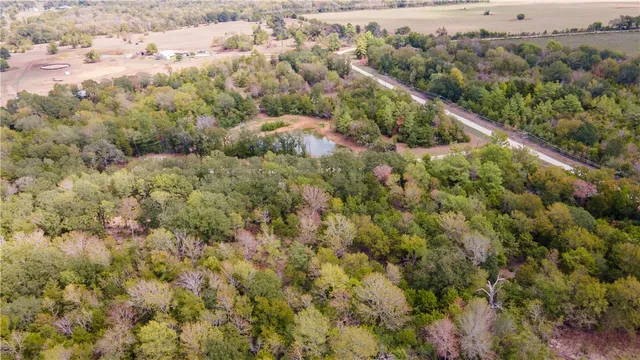 a view of a forest with a lush green forest