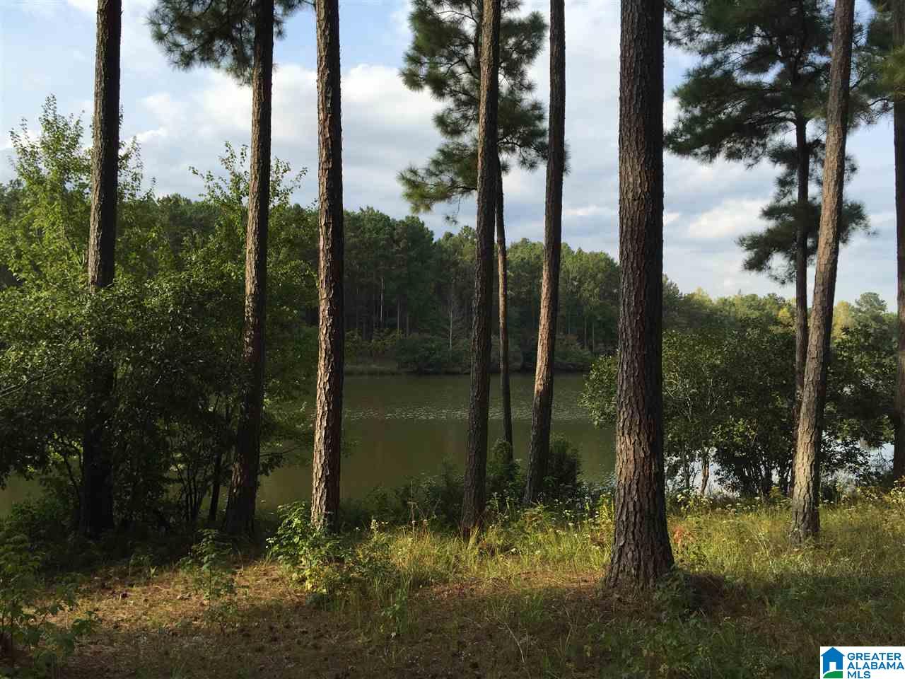 3 A Ridge Lake Road, Unit 3A Columbiana, AL 35051 - Photo 5 of 8 Gallery Image 5