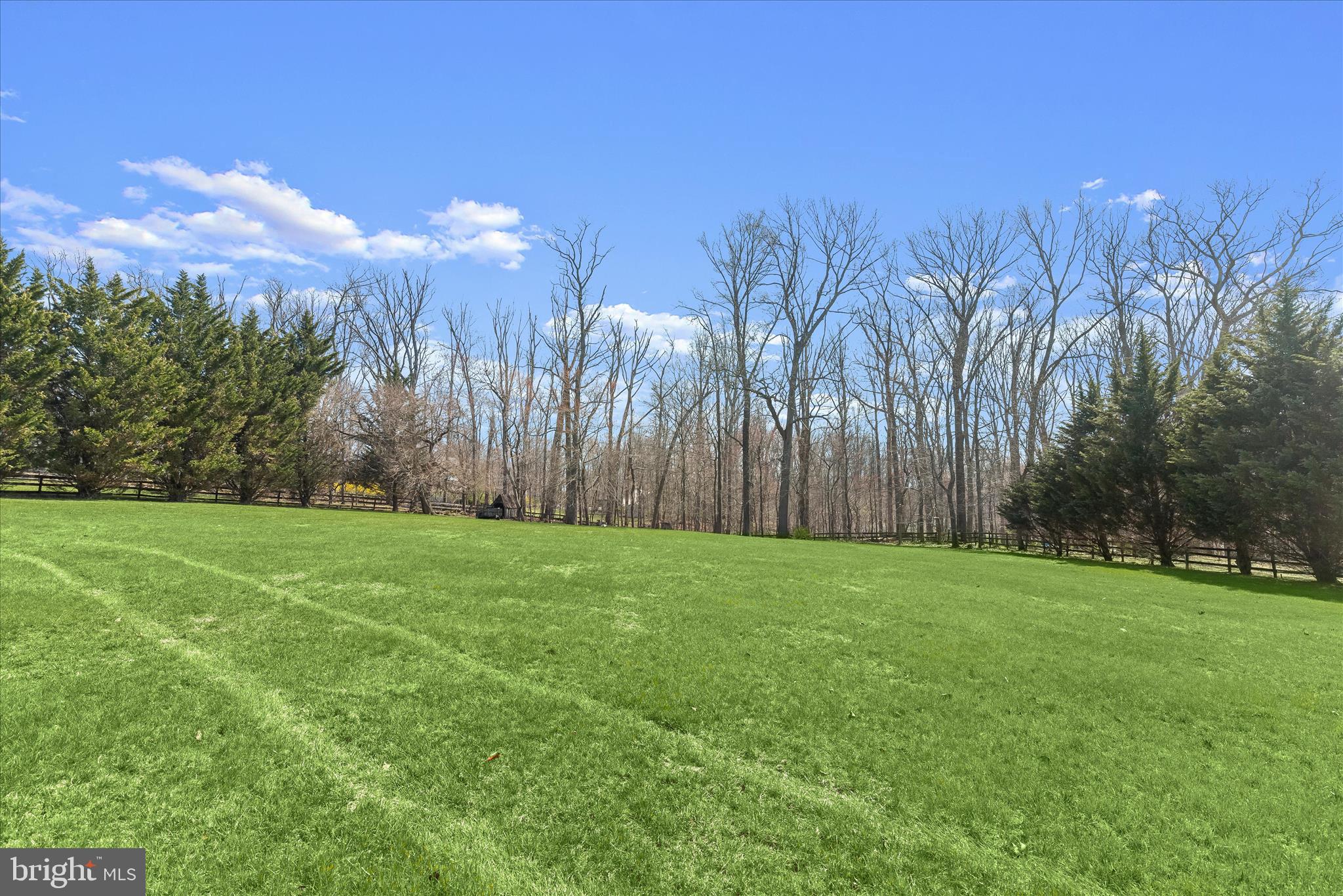 3210 Daisy Road Woodbine, MD 21797 - Photo 77 of 94 Private Setting