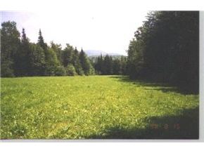 1791 Vermont Rte 111 Morgan, VT 05853 - Photo 3 of 5 Gallery Image 3
