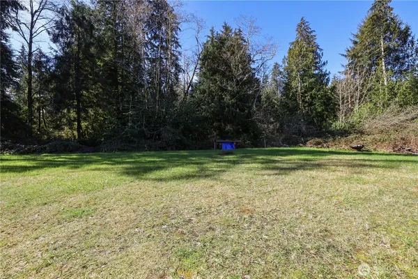 a view of outdoor space with pool and trees in the background
