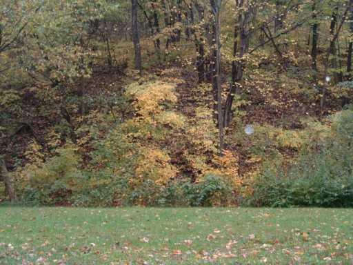 45 Boyds Run Road Presto, PA 15142 - Photo 2 of 2 Other.
