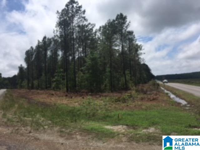 325 Springhill Road, Unit 1 Talladega, AL 35160 - Photo 3 of 31