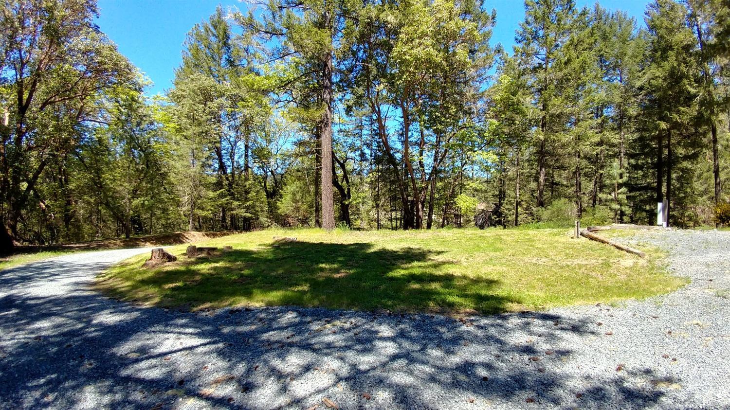 1390 Crow Road Merlin, OR 97532 - Photo 35 of 35 a view of a yard with trees