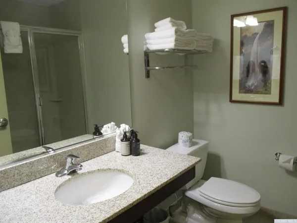 a bathroom with a granite countertop toilet a sink and mirror