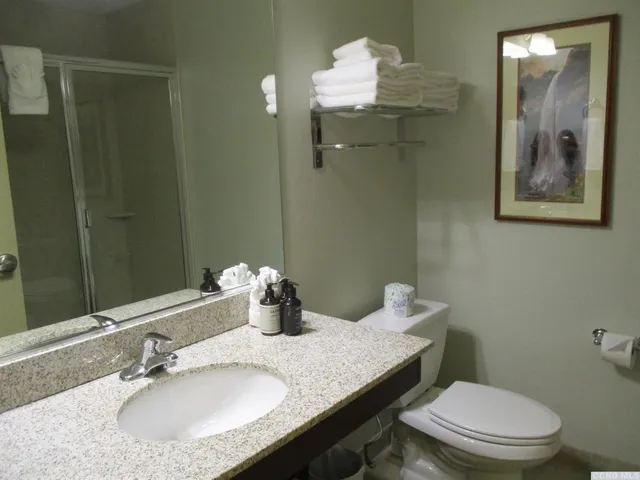 a bathroom with a granite countertop toilet a sink and mirror