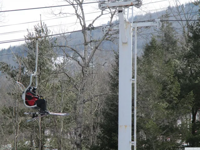a view of a house with a tree