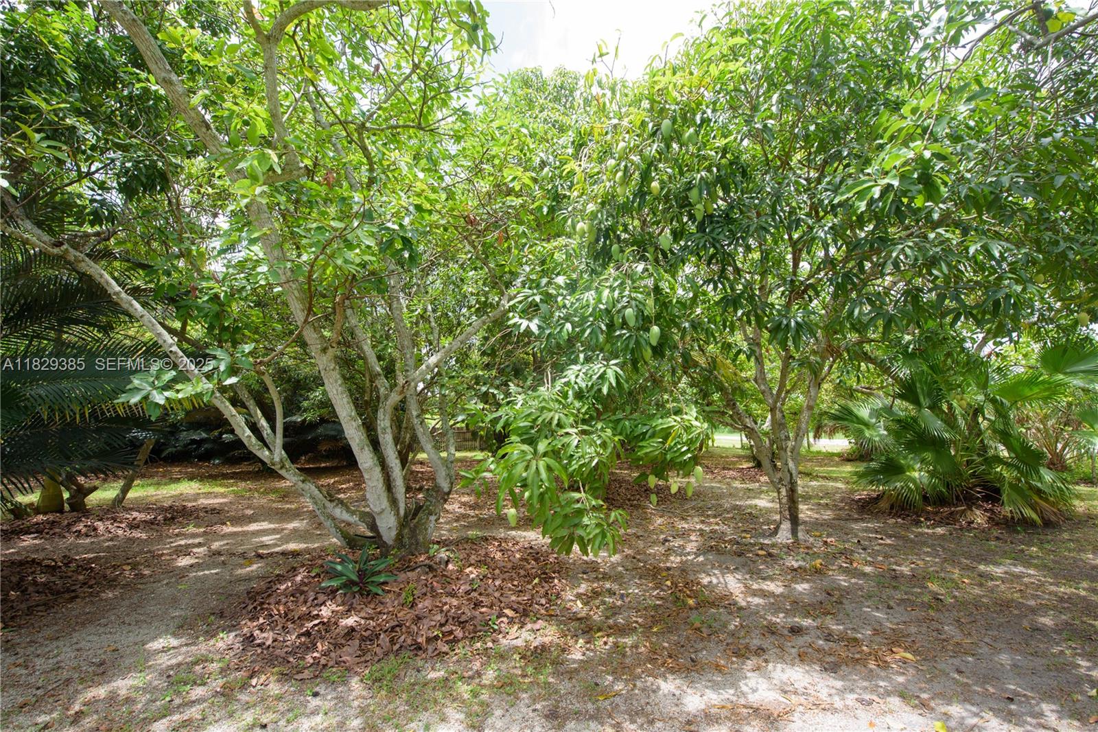 20350 Southwest 182nd Avenue Miami, FL 33187 - Photo 22 of 27