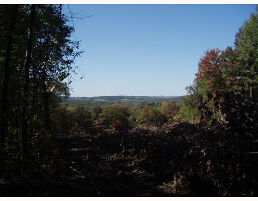 Skyview Road Donegal, PA 15628 - Photo 1 of 2 Land/Lot.