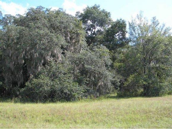 0 Southeast 101st Avenue Road Summerfield, FL 34491 - Photo 1 of 1 Primary Photo