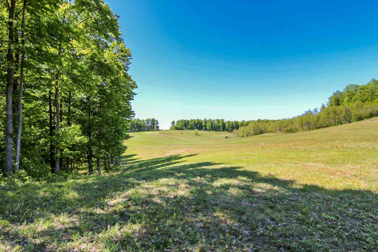 25 Heather Ridge Trail Beulah, MI 49617 - Photo 4 of 11